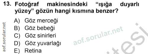 13. soru: Fotoğraf makinesindeki "IŞığa duyarlı yüzey" gözün hangi kısmına benzer? A) Göz merceği B) Göz bebeği C) Göz sinirler…
