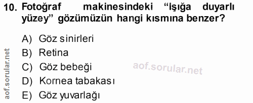 10. soru: Fotoğraf makinesindeki "İşığa duyarlı yüzey" gözümüzün hangi kısmına benzer? A) Göz sinirleri B) Retina C) Göz bebeği…