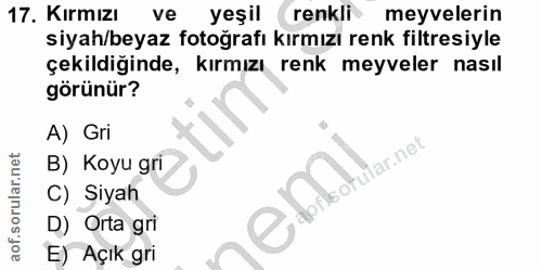 17. soru: Kırmızı ve yeşil renkli meyvelerin siyah/beyaz fotoğrafı kırmızı renk filtresiyle çekildiğinde, kırmızı renk meyveler…
