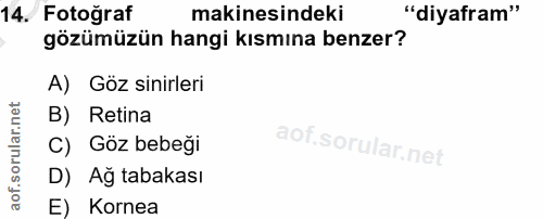 14. soru: Fotoğraf makinesindeki "diyafram" gözümüzün hangi kısmına benzer? A) Göz sinirleri B) Retina C) Göz bebeği D) Ağ taba…