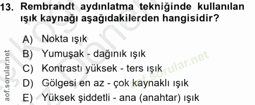 13. soru: Rembrandt aydınlatma tekniğinde kullanılan ışık kaynağı aşağıdakilerden hangisidir? A) Nokta ıŞık B) Yumuşak - dağını…