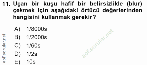 11. soru: Uçan bir kuşu hafif bir belirsizlikle (blur) çekmek için aşağıdaki örtücü değerlerinden hangisini kullanmak gerekir?…