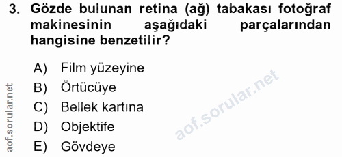 3. soru: Gözde bulunan retina (ağ) tabakası fotoğraf makinesinin aşağıdaki parçalarından hangisine benzetilir? A) Film yüzeyin…