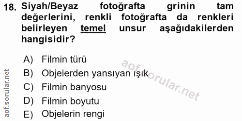 18. soru: Siyah/Beyaz fotoğrafta grinin tam değerlerini, renkli fotoğrafta da renkleri belirleyen temel unsur aşağıdakilerden h…