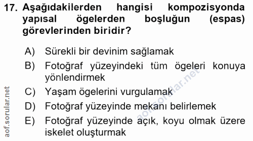 17. soru: Aşağıdakilerden hangisi kompozisyonda yapısal ögelerden boşluğun (espas) görevlerinden biridir? A) Sürekli bir devini…