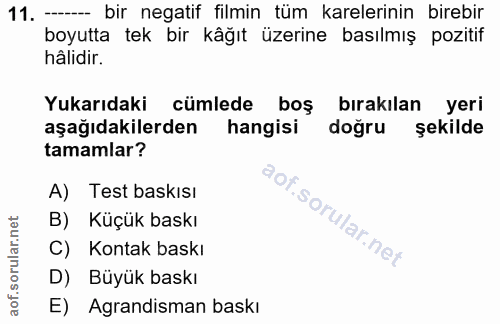 11. soru: - bir negatif filmin tüm karelerinin birebir boyutta tek bir kâğıt üzerine basılmış pozitif hâlidir. Yukarıdaki cümle…
