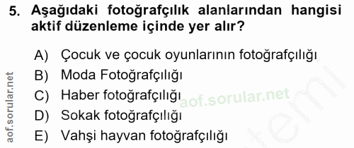 5. soru: Aşağıdaki fotoğrafçılık alanlarından hangisi aktif düzenleme içinde yer alır? A) Çocuk ve çocuk oyunlarının fotoğrafç…
