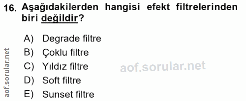 16. soru: Aşağıdakilerden hangisi efekt filtrelerinden biri değildir? A) Degrade filtre rular.net B) Çoklu filtre C) Yıldız fil…