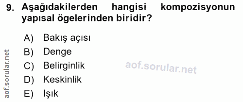 9. soru: Aşağıdakilerden hangisi kompozisyonun yapısal ögelerinden biridir? A) Bakış açısı B) Denge C) Belirginlik oru D) Kesk…