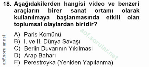 18. soru: Aşağıdakilerden hangisi video ve benzeri araçların birer sanat ortamı olarak kullanılmaya başlanmasında etkili olan t…