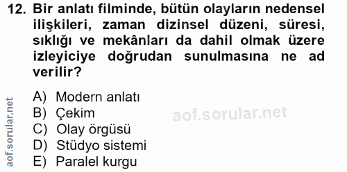 12. soru: Bir anlatı filminde, bütün olayların nedensel ilişkileri, zaman dizinsel düzeni, süresi, sıklığı ve mekânları da dahi…
