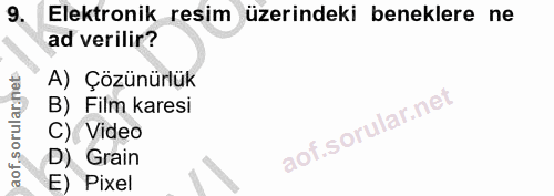 9. soru: Elektronik resim üzerindeki beneklere ne ad verilir? A) Çözünürlük B) Film karesi C) Video D) Grain E) Pixel