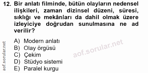 12. soru: Bir anlatı filminde, bütün olayların nedensel ilişkileri, zaman dizinsel düzeni, süresi, sıklığı ve mekânları da dahi…