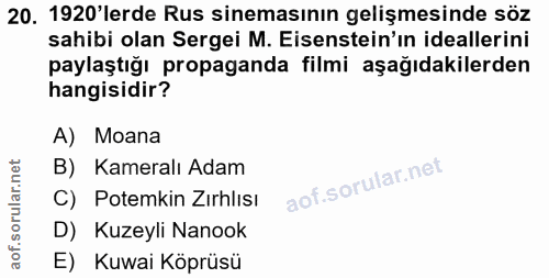 20. soru: 1920'lerde Rus sinemasının gelişmesinde söz sahibi olan Sergei M. Esenstein'ın ideallerini paylaştığı propaganda film…