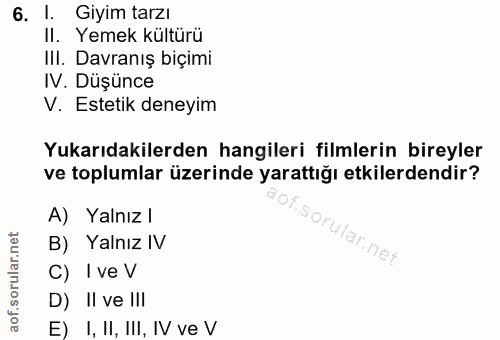 6. soru: 1. Giyım tarzı II. Yemek kültürü IlI. Davranış biçimi IV. Düşünce V. Estetik deneyim Yukarıdakilerden hangileri filml…