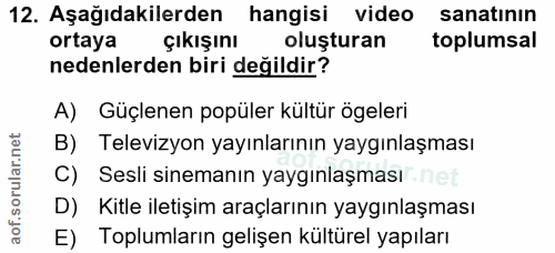 12. soru: Aşağıdakilerden hangisi video sanatının ortaya çıkışını oluşturan toplumsal nedenlerden biri değildir? A) Güçlenen po…
