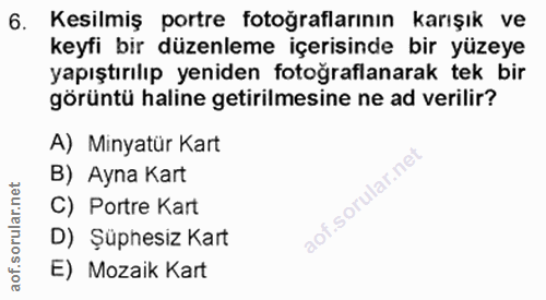 6. soru: Kesilmiş portre fotoğraflarının karışık ve keyfi bir düzenleme içerisinde bir yüzeye yapıştırılıp yeniden fotoğraflan…