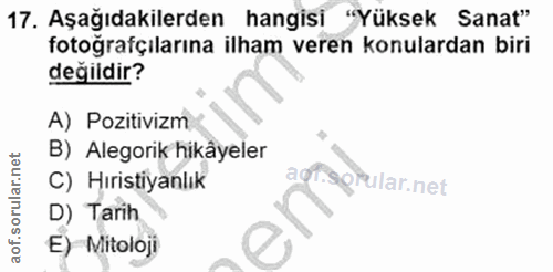 17. soru: Aşağıdakilerden hangisi "Yüksek Sanat" fotoğrafçılarına ilham veren konulardan biri değildir? A) Pozitivizm B) Alegor…