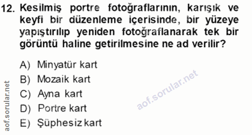 12. soru: Kesilmiş portre fotoğraflarının, karışık ve keyfi bir düzenleme içerisinde, bir yüzeye yapıştırılıp yeniden fotoğrafl…