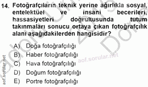 14. soru: Fotoğrafçıların teknik yerine ağırlıkla sosyal, entelektüel ve insani becerileri, hassasiyetleri doğrultusunda tutum…