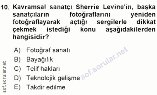 10. soru: Kavramsal sanatçı Sherrie Levine'in, başka sanatçiların fotograflarin! yeniden fotoğraflayarak açtığı sergilerle dikk…