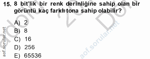 15. soru: 8 bit'lik bir renk derinliğine sahip olan bir görüntü kaç farklı tona sahip olabilir? A) 2 B) 8 C) 16 D) 256 E) 65536