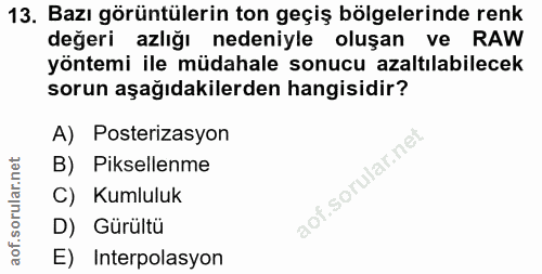 13. soru: Bazı görüntülerin ton geçiş bölgelerinde renk değeri azlığı nedeniyle oluşan ve RAW yöntemi ile müdahale sonucu azalt…