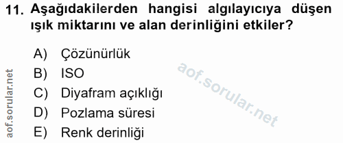 11. soru: Aşağıdakilerden hangisi algılayıcıya düşen ışık miktarını ve alan derinliğini etkiler? A) Çözünürlük B) ISO Diyafram…