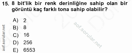 15. soru: 8 bit'lik bir renk derinliğine sahip olan bir görüntü kaç farklı tona sahip olabilir? A) 2 B) 8 C) 16 D) 256 E) 6553
