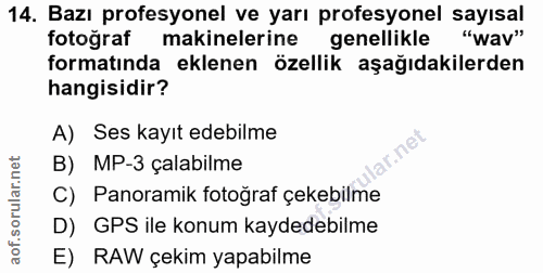 14. soru: Bazı profesyonel ve yarı profesyonel sayısal fotoğraf makinelerine genellikle "wav" formatında eklenen özellik aşağıd…