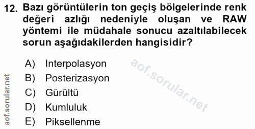 12. soru: Bazı görüntülerin ton geçiş bölgelerinde renk değeri azlığı nedeniyle oluşan ve RAW yöntemi ile müdahale sonucu azalt…
