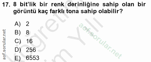 17. soru: 8 bit'lik bir renk derinliğine sahip olan bir görüntü kaç farklı tona sahip olabilir? A) 2 B) 8 16 D) 256 E) 6553