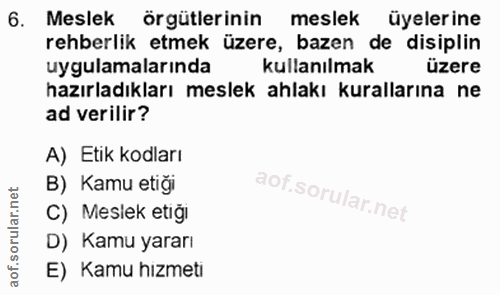6. soru: Meslek örgütlerinin meslek üyelerine rehberlik etmek üzere, bazen de disiplin uygulamalarında kullanılmak üzere hazır…