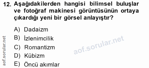 12. soru: Aşağıdakilerden hangisi bilimsel buluşlar ve fotoğraf makinesi görüntüsünün ortaya çıkardığı yeni bir görsel anlayışt…