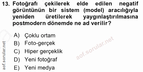 13. soru: Fotoğrafı çekilerek elde edilen negatif görüntünün bir sistem (model) aracılığıyla yeniden üretilerek yaygınlaştırılm…