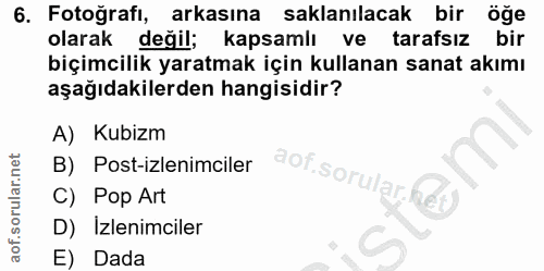 6. soru: Fotoğrafı, arkasına saklanılacak bir öğe olarak değil; kapsamlı ve tarafsız bir biçimcilik yaratmak için kullanan san…
