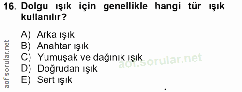 16. soru: Dolgu ışık için genellikle hangi tür ışık kullanılır? A) Arka ışık B) Anahtar ışık C) Yumuşak ve dağınık ışık D) Doğr…