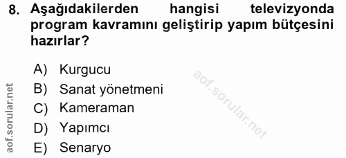8. soru: Aşağıdakilerden hangisi televizyonda program kavramını geliştirip yapım bütçesini hazırlar? A) Kurgucu B) Sanat yönet…