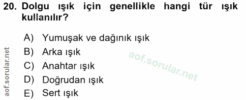 20. soru: Dolgu ışık için genellikle hangi tür ışık kullanılır? A) Yumuşak ve dağınık ışık B) Arka ışık C) Anahtar ışık D) Doğr…