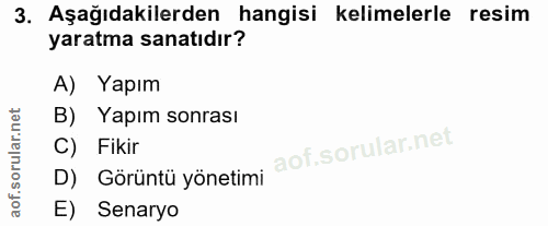 3. soru: Aşağıdakilerden hangisi kelimelerle resim yaratma sanatıdır? A) Yapım B) Yapım sonrası D) Görüntü yönetimi Fikir E) S…