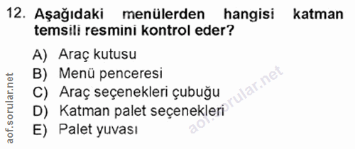 12. soru: Aşağıdaki menülerden hangisi katman temsili resmini kontrol eder? A) Araç kutusu B) Menü penceresi lar.ne C) Araç seç…