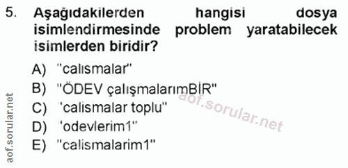 5. soru: Aşağıdakilerden hangisi dosya isimlendirmesinde problem yaratabilecek isimlerden biridir? A) "calismalar" B) "ODEV ça…