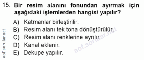 15. soru: Bir resim alanını fonundan ayırmak için aşağıdaki işlemlerden hangisi yapılır? A) Katmanlar birleştirilir. B) Resim a…