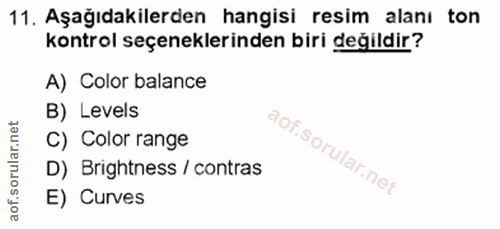 11. soru: Aşağıdakilerden hangisi resim alanı ton kontrol seçeneklerinden biri değildir? A) Color balance B) Levels C) Color ra…