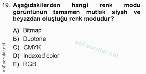 19. soru: Aşağıdakilerden hangi renk modu görüntünün tamamen mutlak siyah ve beyazdan oluştuğu renk modudur? A) Bitmap B) Duoto…