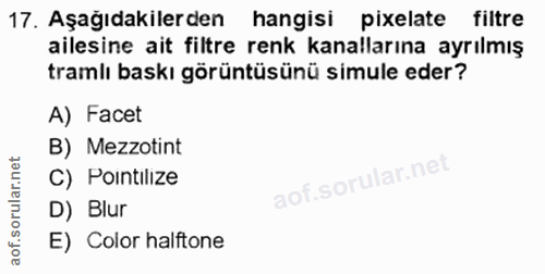 17. soru: Aşağıdakilerden hangisi pixelate filtre ailesine ait filtre renk kanallarına ayrılmış tramlı baskı görüntüsünü simule…