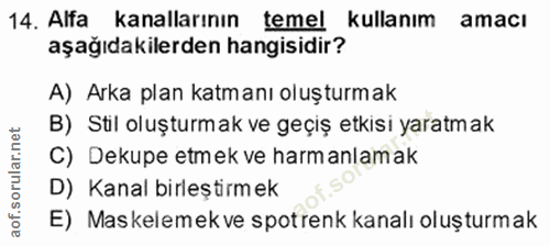 14. soru: Alfa kanallarının temel kullanım amacı aşağıdakilerden hangisidir? A) Arka plan katmanı oluşturmak B) Stil oluşturmak…