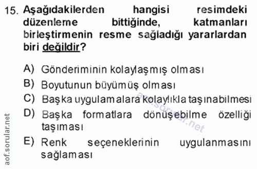 15. soru: Aşağıdakilerden hangisi resimdeki düzenleme bittiğinde, katmanları birleştirmenin resme sağladığı yararlardan biri de…