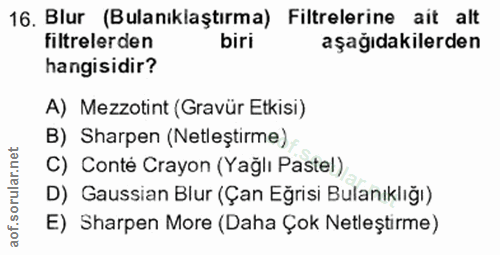 16. soru: Blur (Bulanıklaştırma) Filtrelerine ait alt filtrelerden aşağıdakilerden hangisidir? A) Mezzotint (Gravür Etkisi) B)…