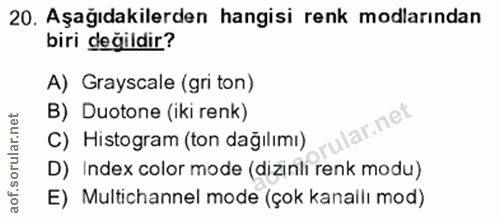 20. soru: Aşağıdakilerden hangisi renk modlarından biri değildir? A) Grayscale (gri ton) B) Duotone (iki renk) ular.net C) Hist…